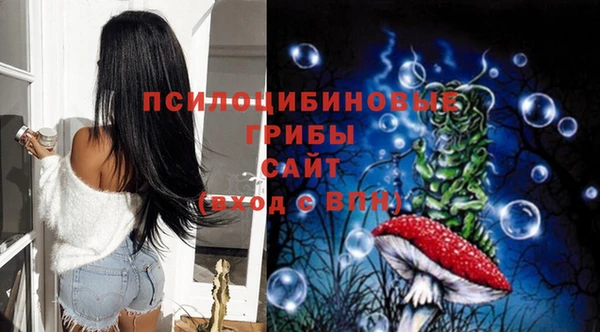 ГАЛЛЮЦИНОГЕННЫЕ ГРИБЫ Алзамай