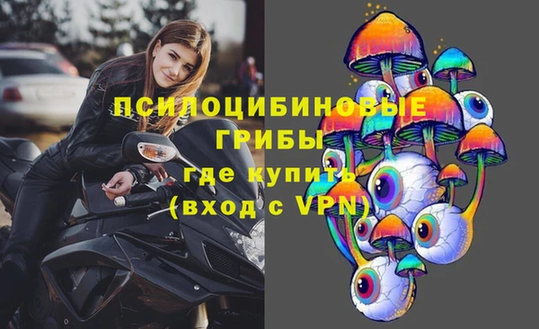героин Алексин