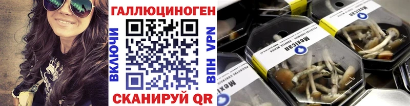 Галлюциногенные грибы Psilocybine cubensis Каменногорск